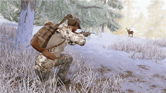 模拟狩猎Hunting Simulator游戏截图